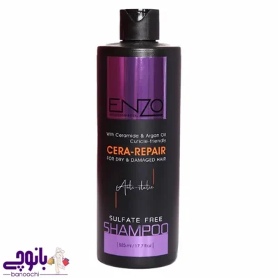 شامپو انزو آرگان 525 میل